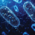 Bacteria That Produce Electricity - News for Kids