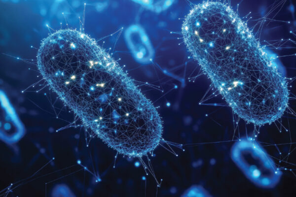 Bacteria That Produce Electricity