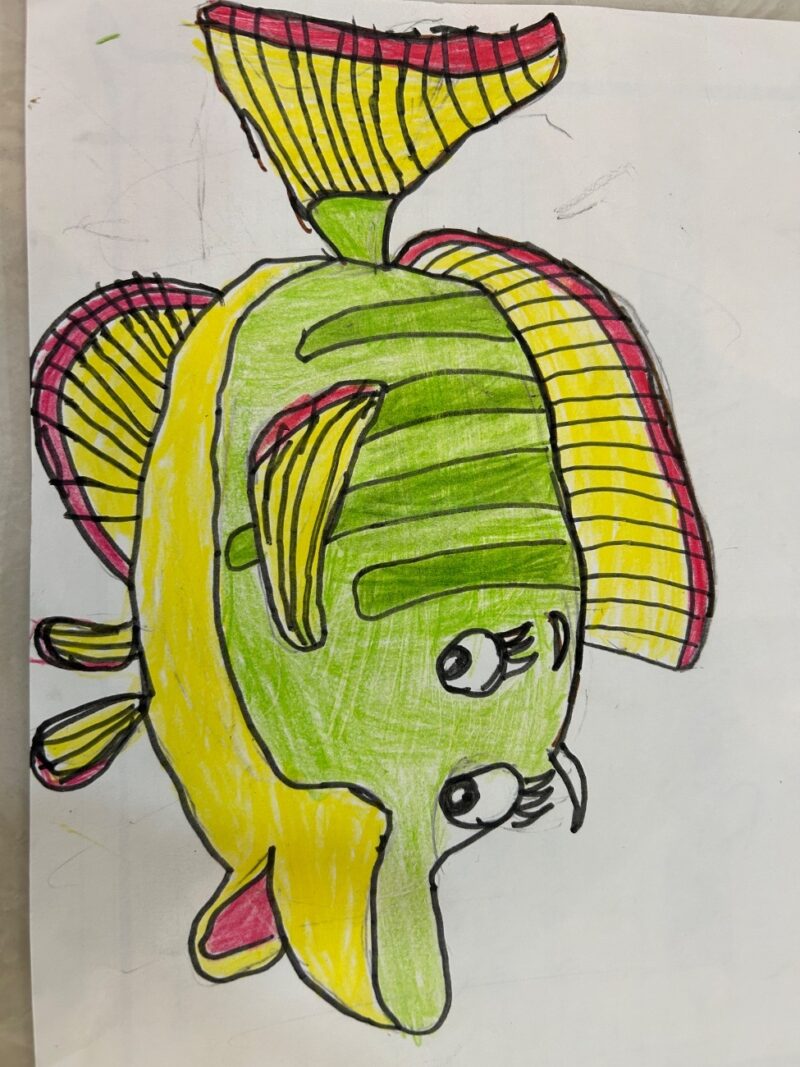 Beautiful Fish Friend