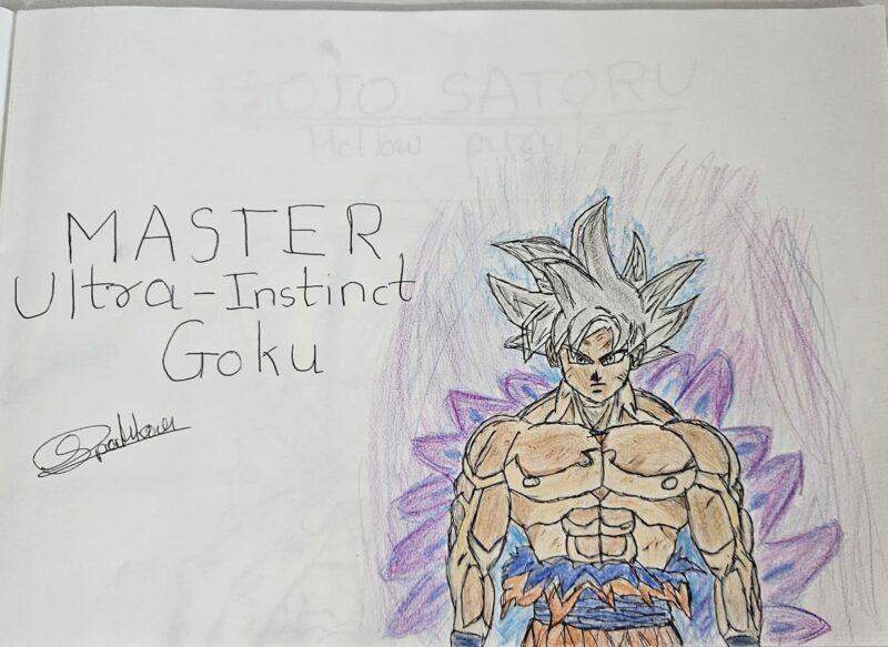 Goku Master Ultra Instinct
