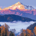 Tracking Emissions - News for Kids