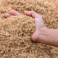 Homes Created from Husk - News for Kids