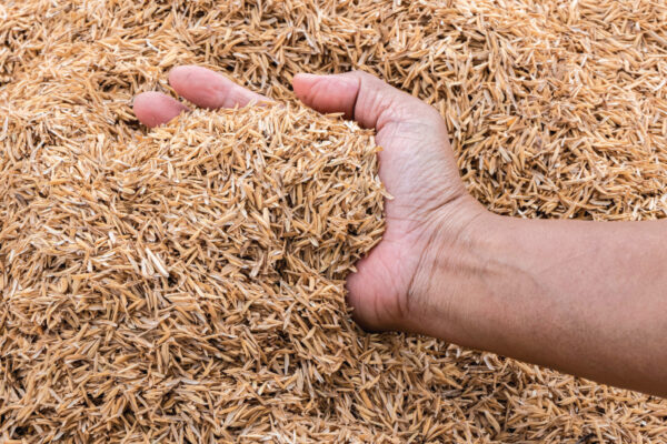 Homes Created from Husk  