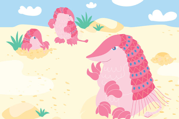 The Endangered Species of Pink Fairy Armadillos