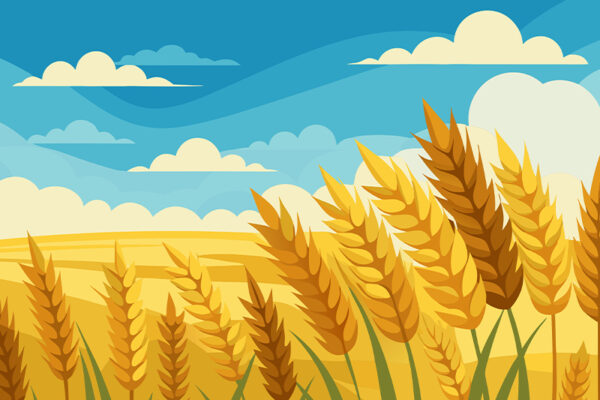 The Forgotten Treasure