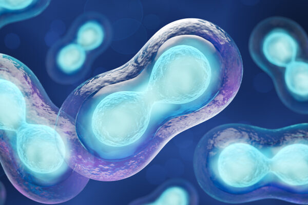 The First Cell vs Cell Theory 