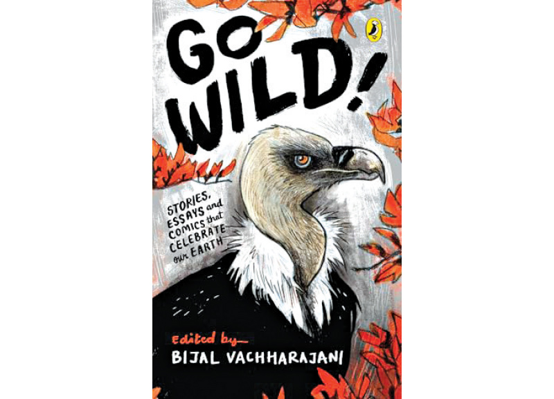 Books for the Holidays