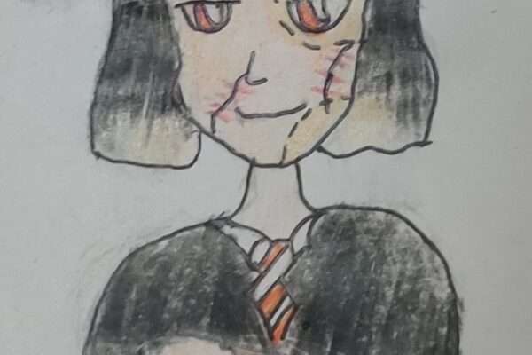 Vellora Potter: My Dream Fiction Hero