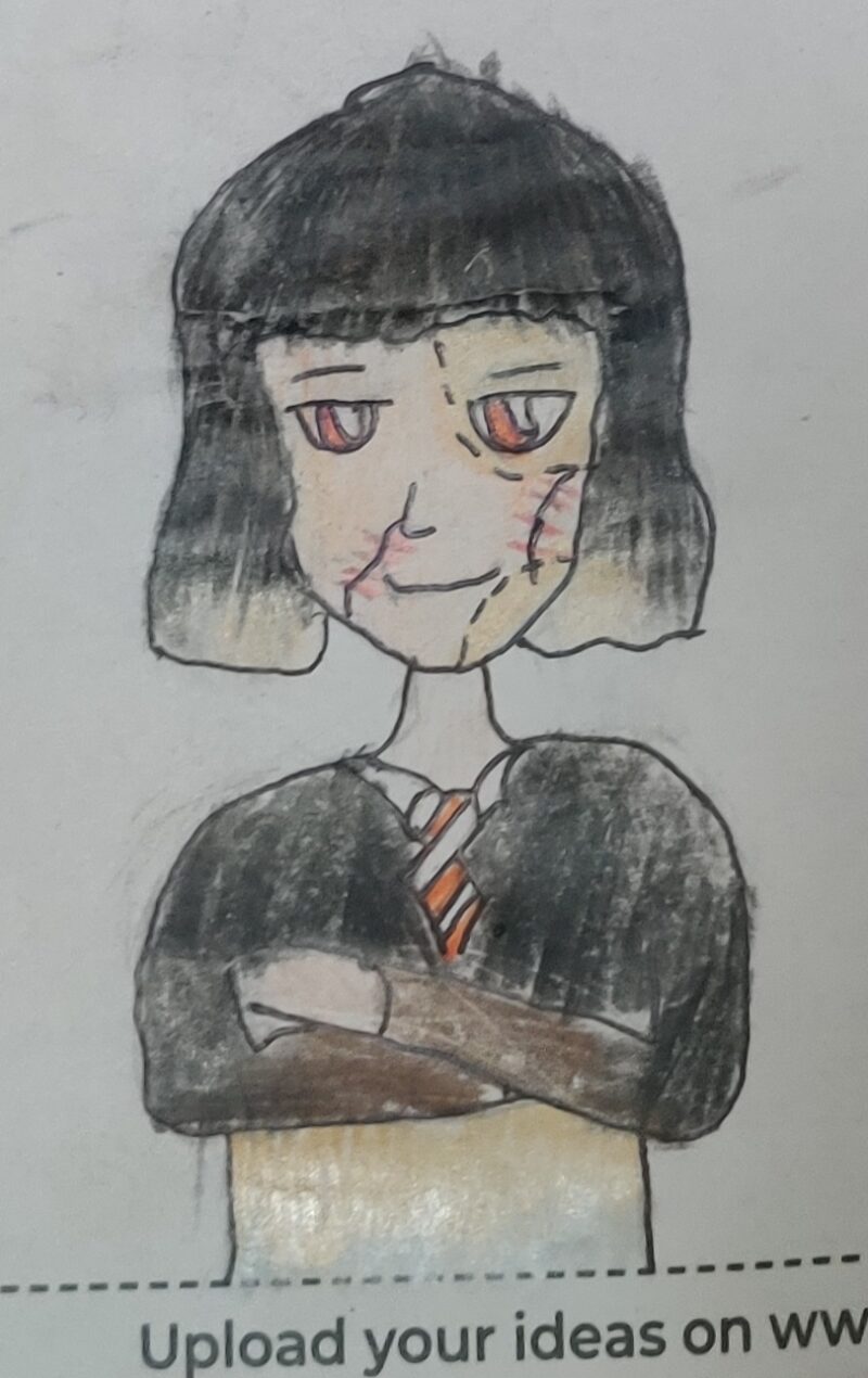 Vellora Potter: My Dream Fiction Hero