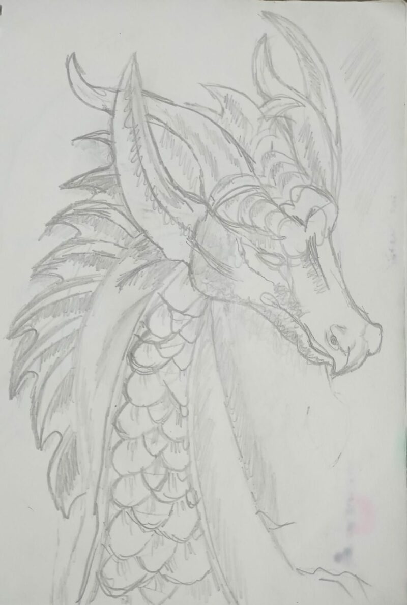 A Dragon