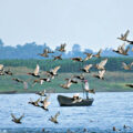 Bihar Lake Gets Ramsar Recognition - News for Kids