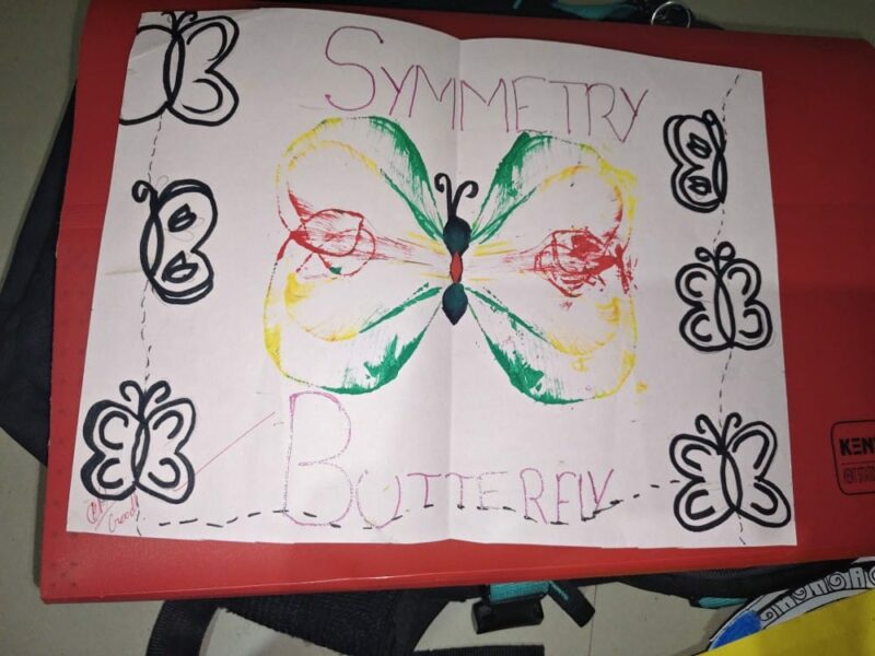 Butterfly Symmetry Art