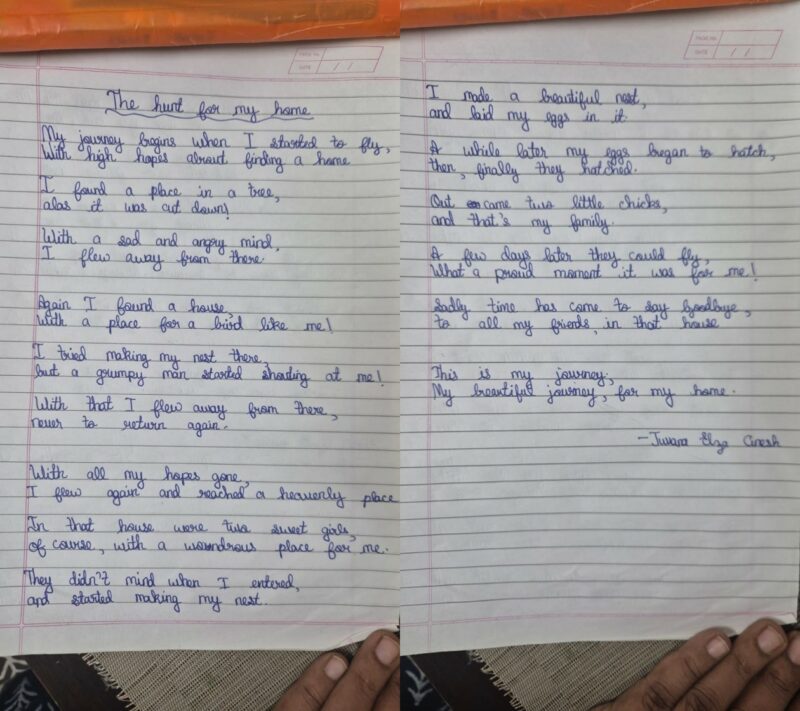 The Hunt for My Home