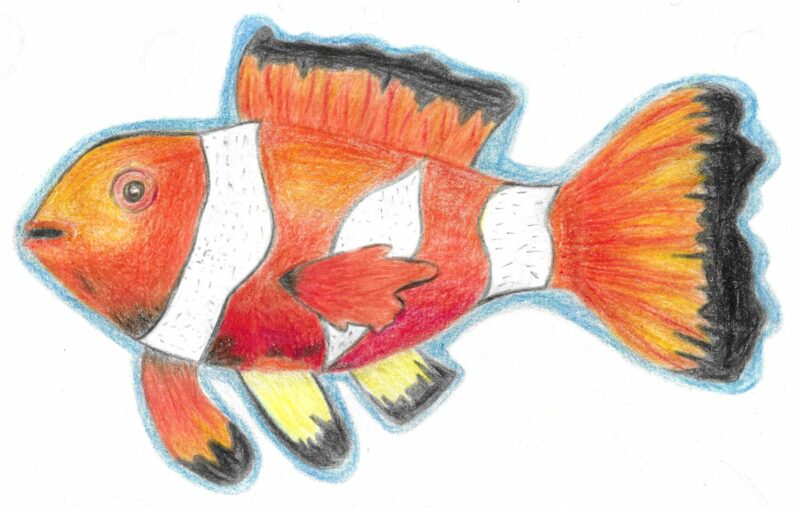 Golden Fish