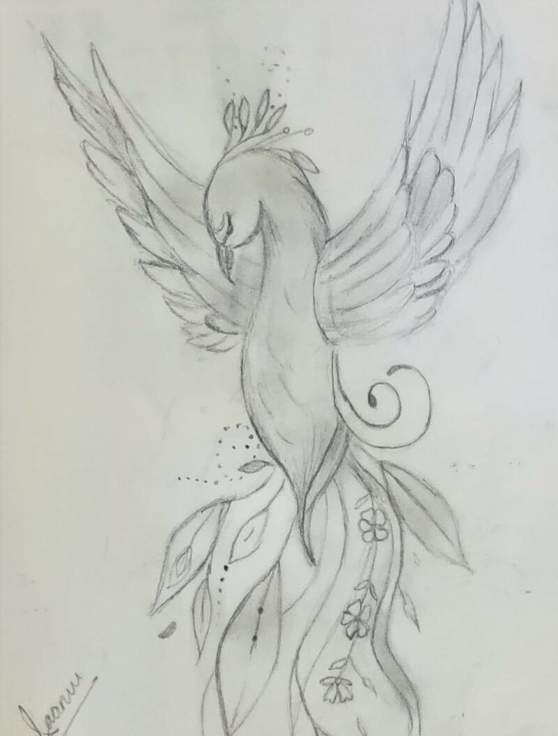 Rising from the Ashes