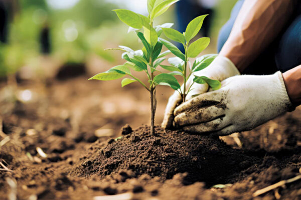 Climate Change: Why Every Action Matters for Our Planet