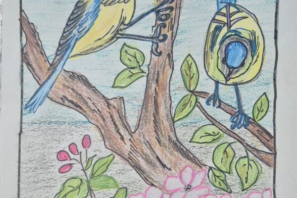Feathered Friends