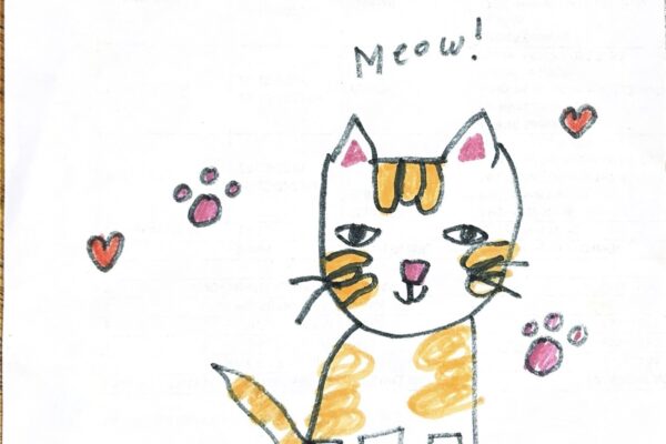 A Cute Cat