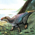 Unique Dinosaur Species Found