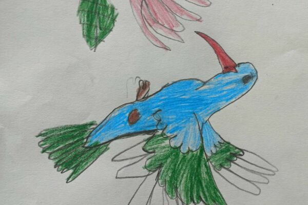 Blue Bird & Pink Bloom
