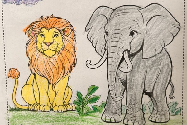 Colour the Animals
