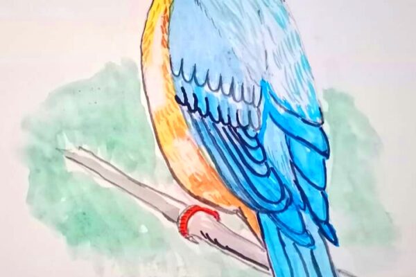 Pretty Indian Roller Bird