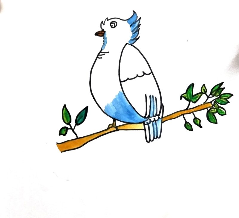 Beautiful Blue Cacatua Bird