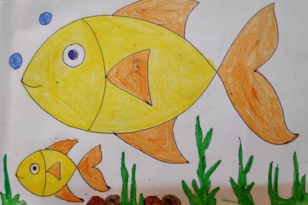 Coral and Fishes Under Water