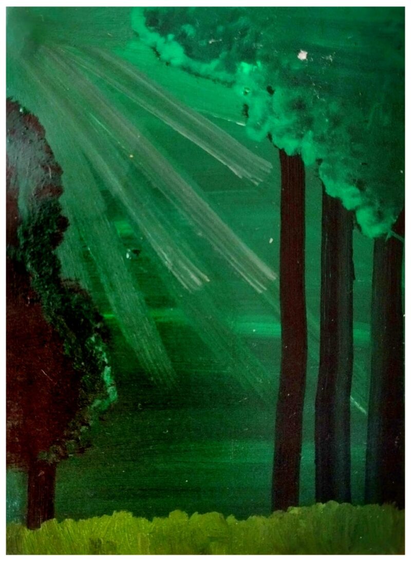 Inside The Forest
