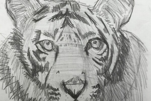 The Beast of The Jungle