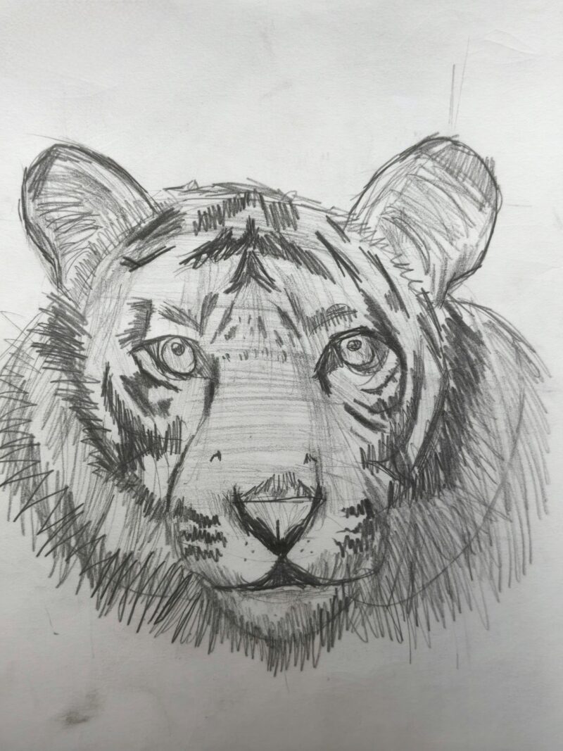 The Beast of The Jungle