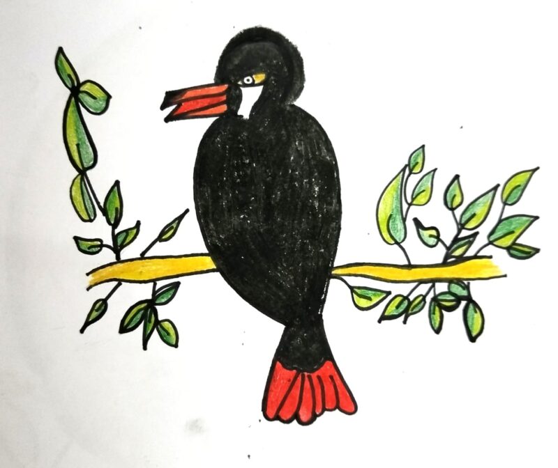 Mountain Toucan Bird