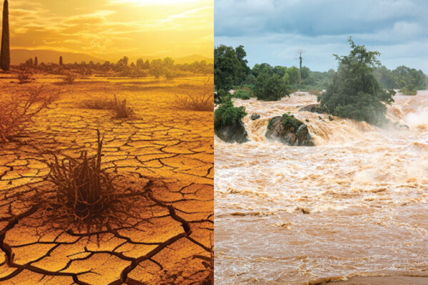 Development of El Niño