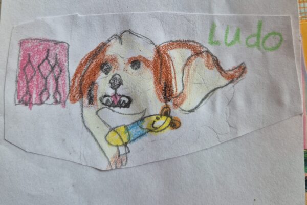 Neighbour’s Pet Ludo