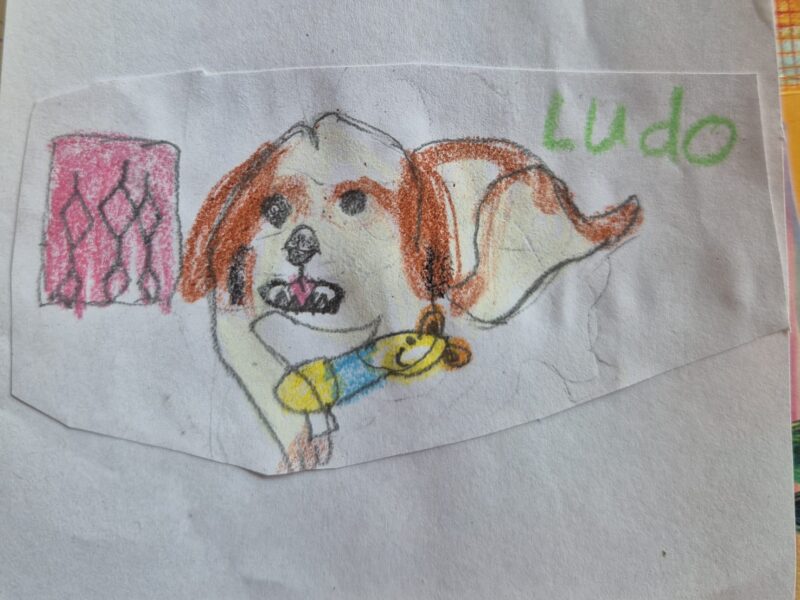 Neighbour’s Pet Ludo