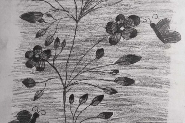 Flowers in Bloom