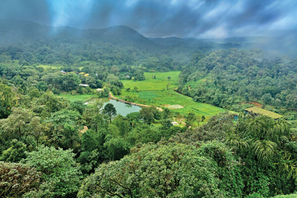 Growing Up Amidst Nature