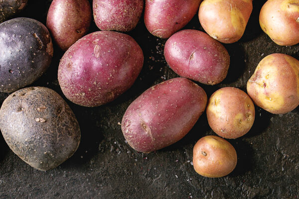 How Potatoes Saved Millions: The Journey from Peru to the World
