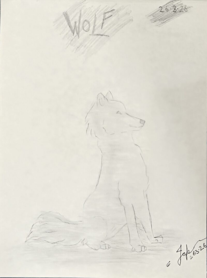 Wolf
