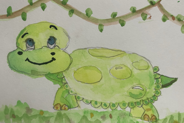Happy Tortoise