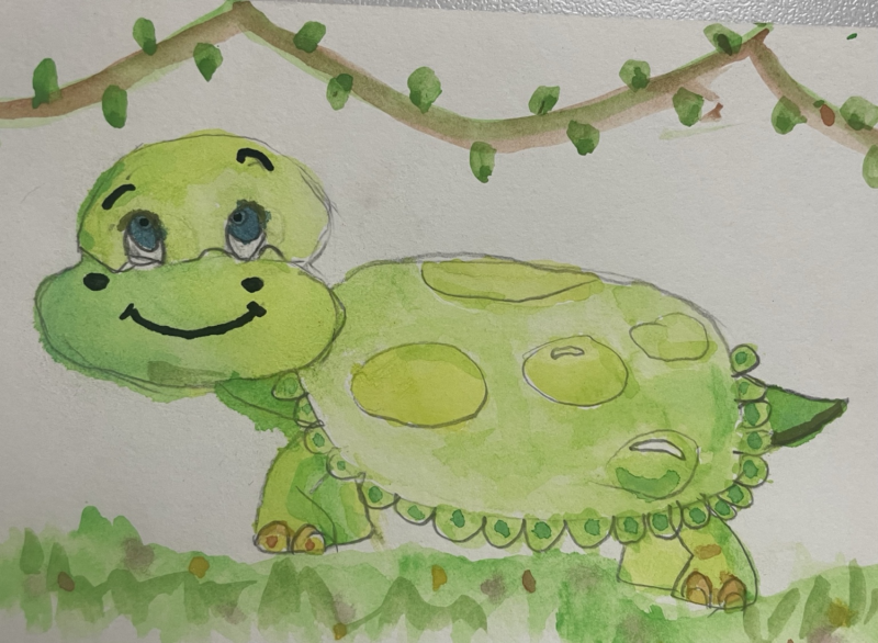 Happy Tortoise