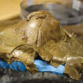 Mysterious Marine Object Studied