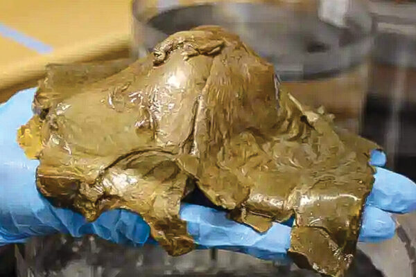 Mysterious Marine Object Studied