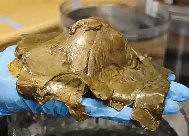Mysterious Marine Object Studied