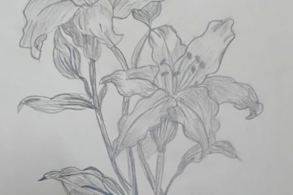 Lovely Lilies