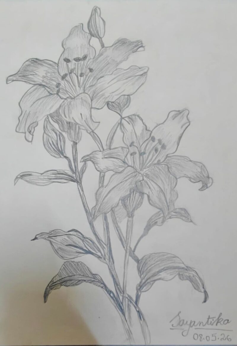 Lovely Lilies