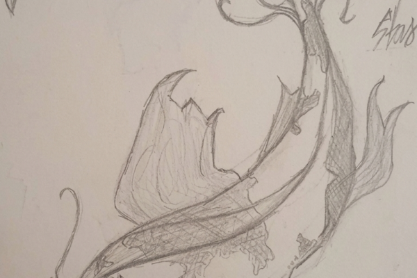 Koi Fish