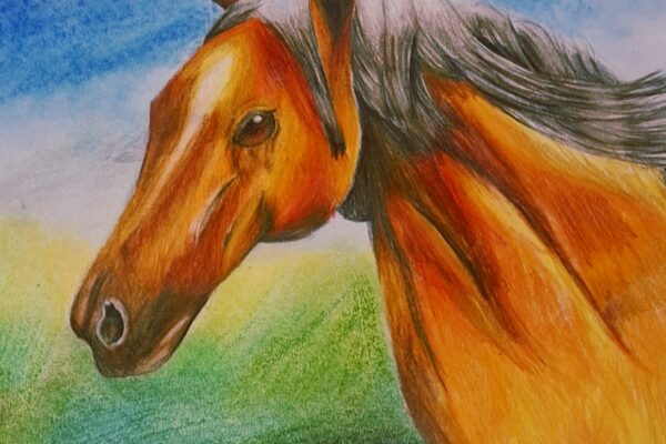 Sunset Stallion