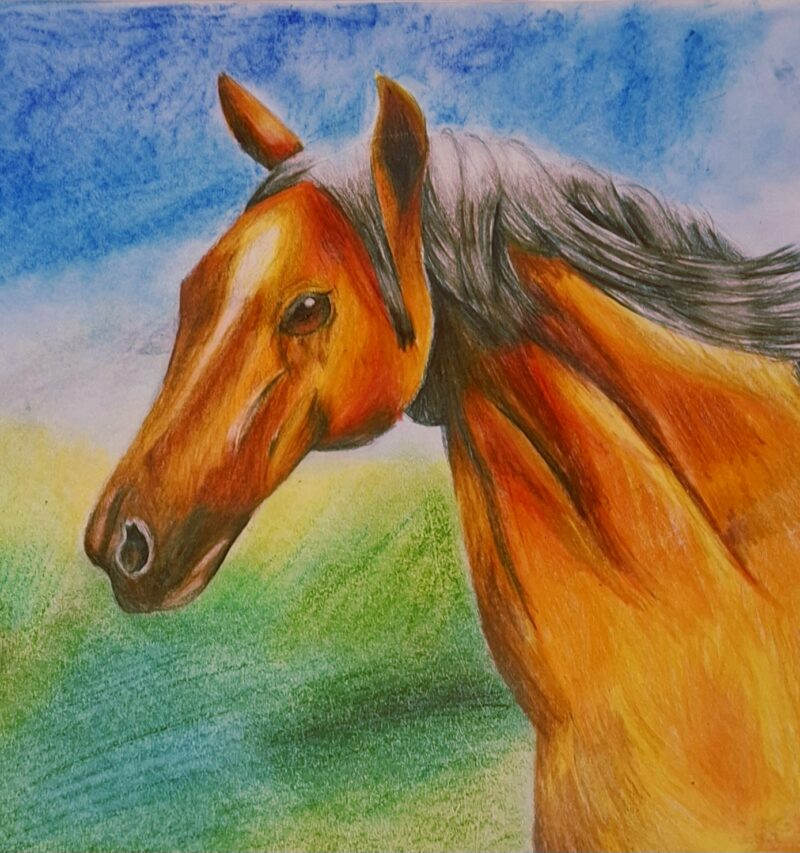 Sunset Stallion