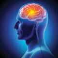 Body Movements Affect Brain